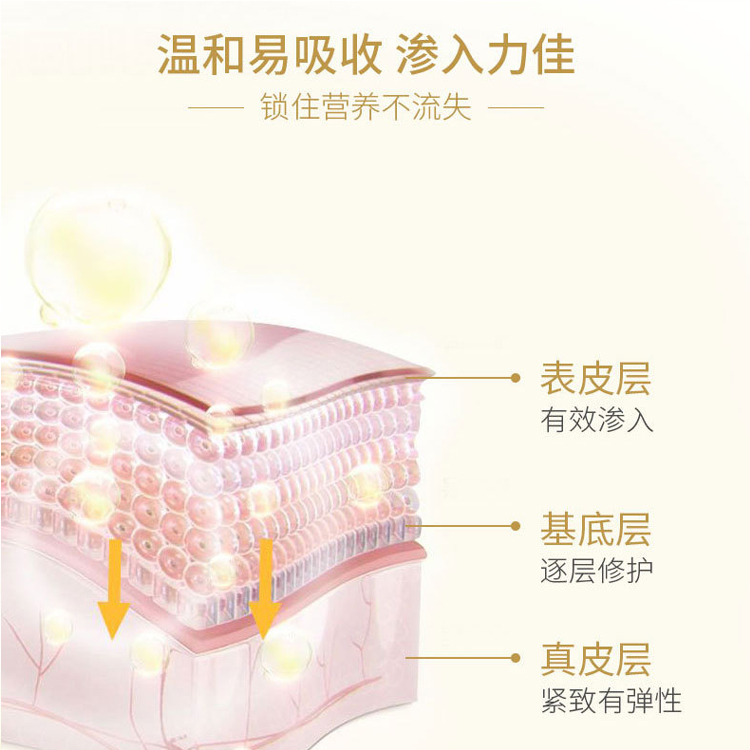玻色因緊致凍干粉套裝