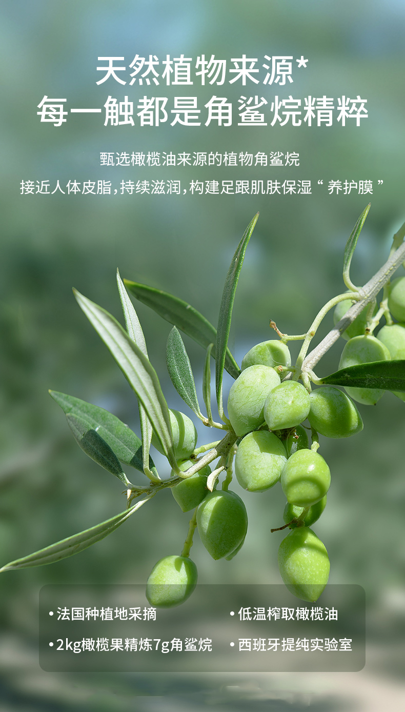 詳情頁_04.jpg